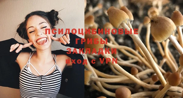прущий лед Алексеевка