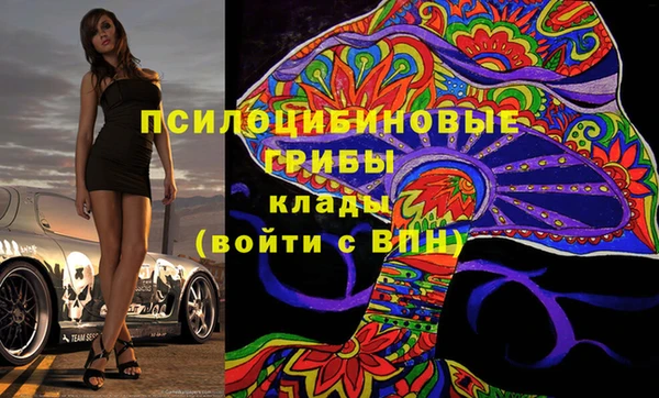 гашик Алзамай